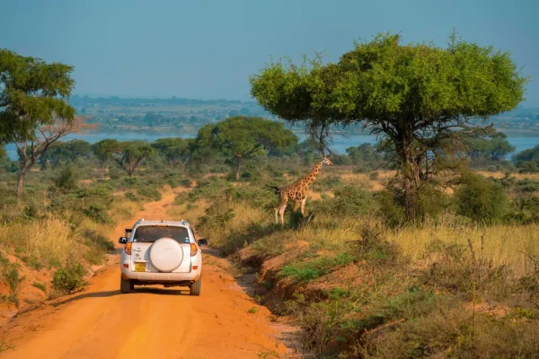 Driving in Uganda