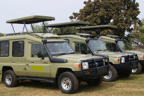 Landcruiser with Pop-up Roof