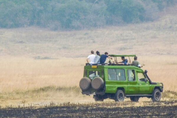 1 Day Akagera National Park Safari