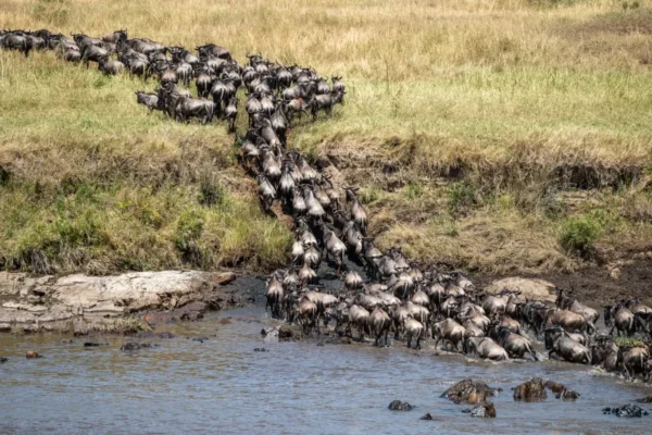 10 Days Tanzania Road Trip