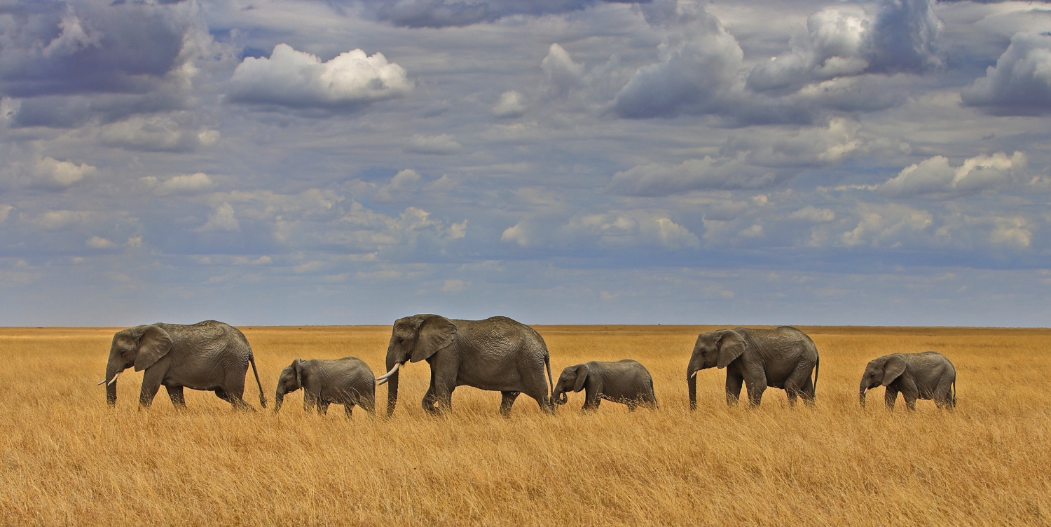 4 days Serengeti and Ngorongoro