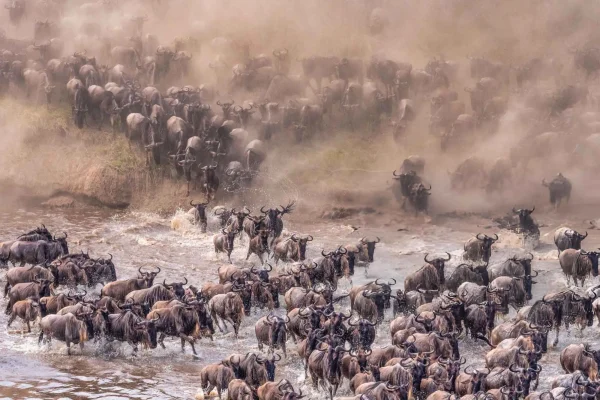 Great Migration in Tanzania