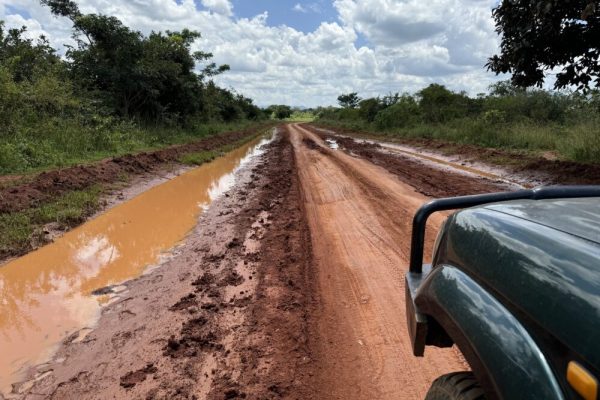 Self Drive Safaris-Kenya vs Tanzania For Small Group