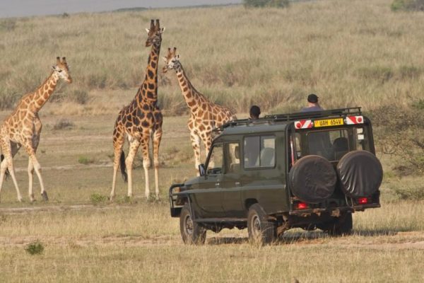 2 Weeks Uganda and Rwanda Self Drive Safari