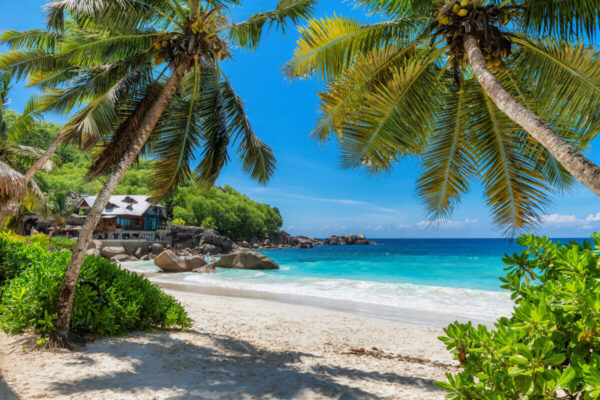 Zanzibar Family Road Trips