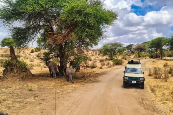 2 Weeks in Tanzania and Zanzibar