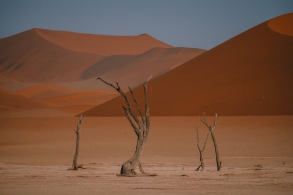 10 Days Namibia itinerary