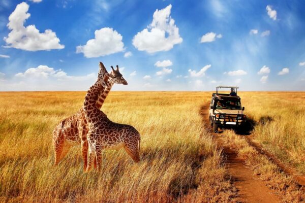 Kenya Tanzania Uganda Rwanda