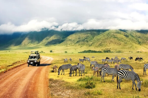 Kenya And Uganda safari