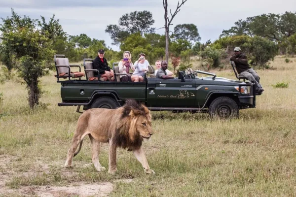 5-Day Kruger Self-Drive Safari