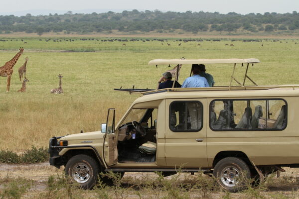 6-Day Akagera And Volcanoes Safari