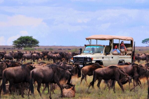 6 Day Kenya safari