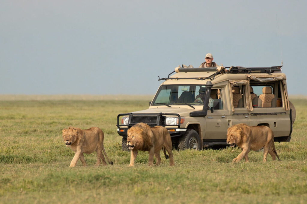 7-Day Kenya safari