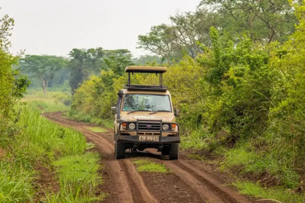 7-Day Uganda Self-Drive 7-Day Uganda Self-Drive