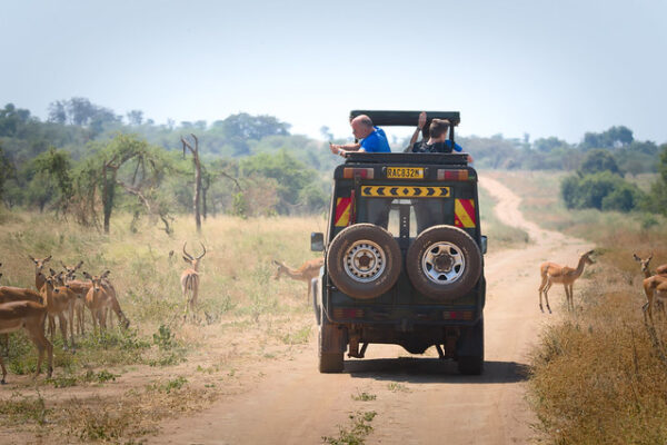 7 day Rwanda safari