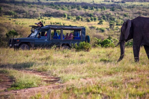 8-Day Kenya Safari