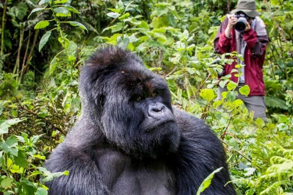 8-Day Uganda safari 8-Day Uganda safari