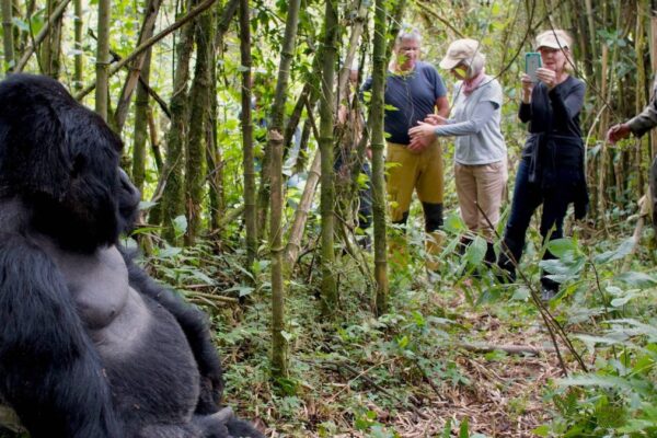 9-Day Rwanda safari